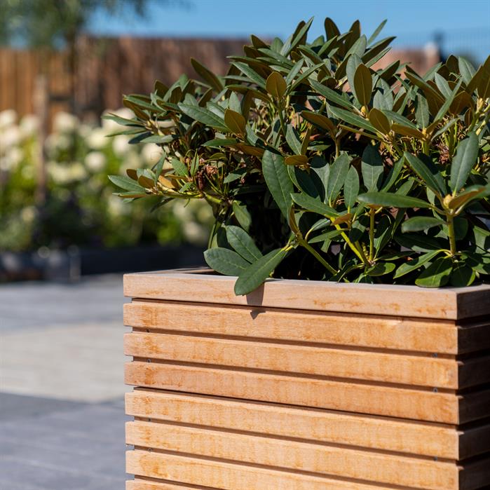 Malaga Rhombus bak hardhout HRS