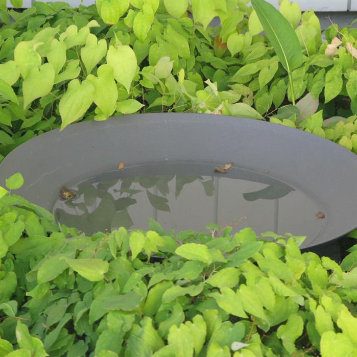 Adezz waterschaal gecoat staal antraciet