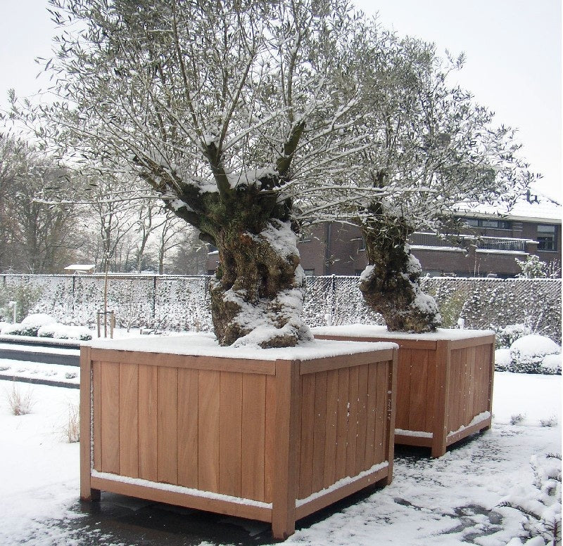 plantenbak Valencia hardhout