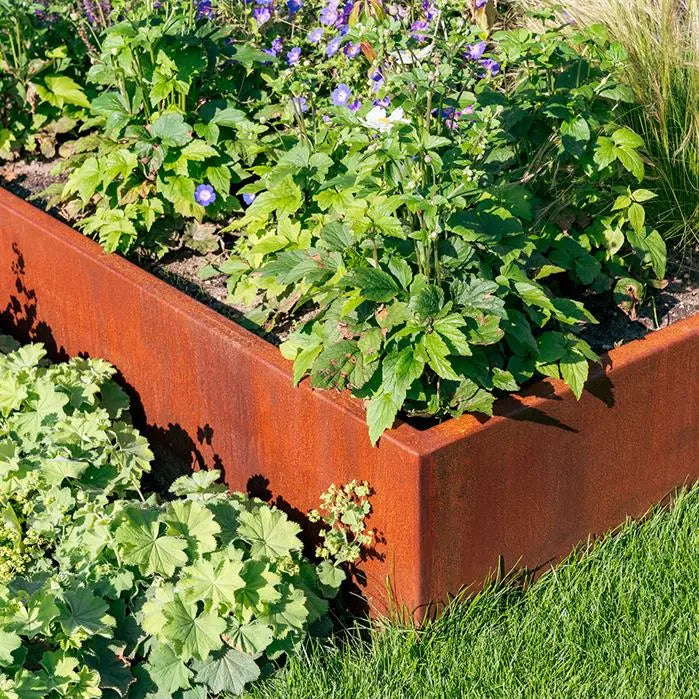 Cortenstaal plantenbak CARREZ zonder bodem | 100 x 100 x 20 cm