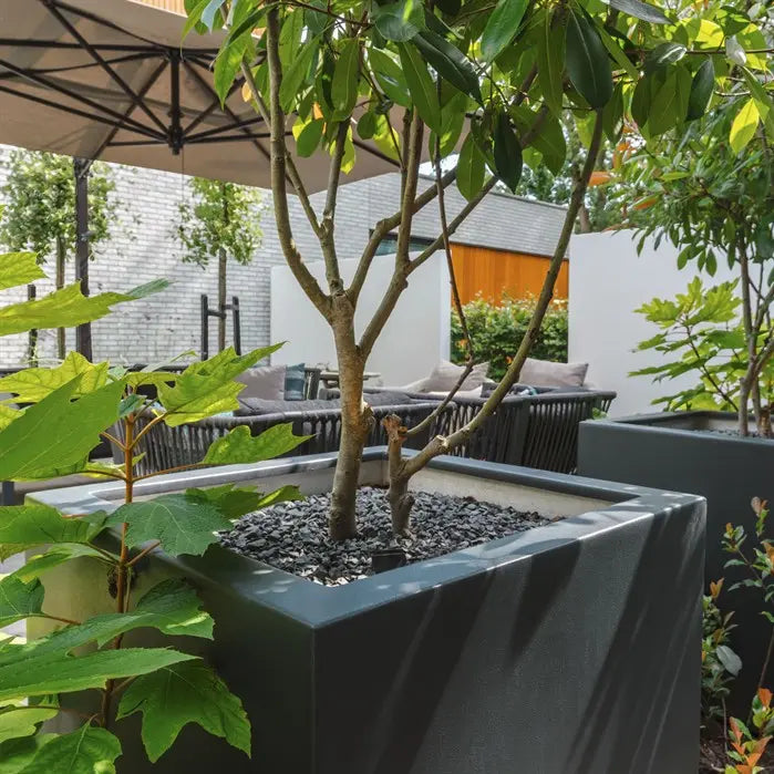 Polyester Pflanzkübel Carrez | 100 x 50 x 50 cm