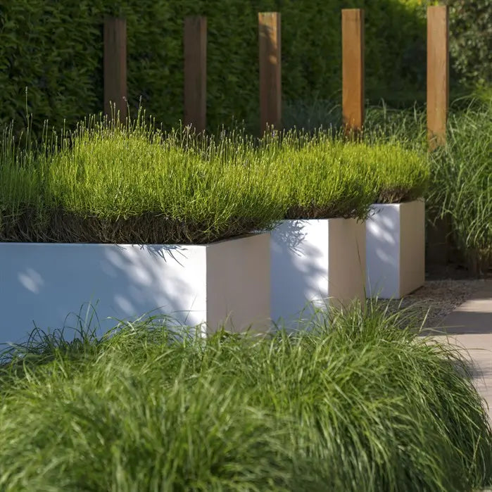 Polyester Pflanzkübel Carrez | 100 x 50 x 50 cm