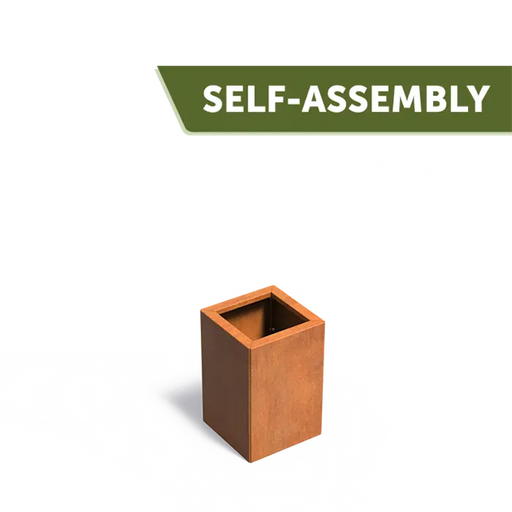 Carrez CONNECT CAWC10