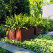 Adezz Carrez connect