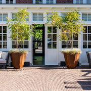 Plantenbak Facet corten CFT