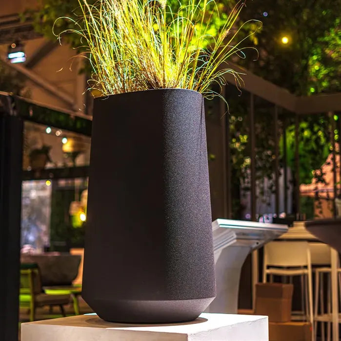 VELIS_1_AC7C6B4A-AE8A-47F8-88E4-41399B0F6002