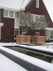 Valencia plantenbak hardhout