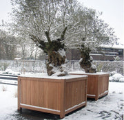 Sfeer plantenbak valencia