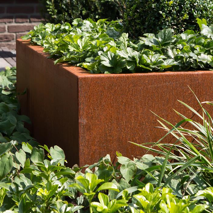 CARREZ vierkante cortenstaal plantenbak 200x200x80 open