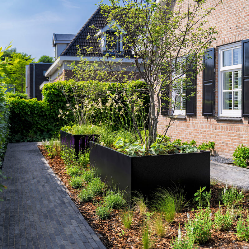 CARREZ Connect gecoat stalen plantenbak 80 x 40 x 40 cm zonder bodem
