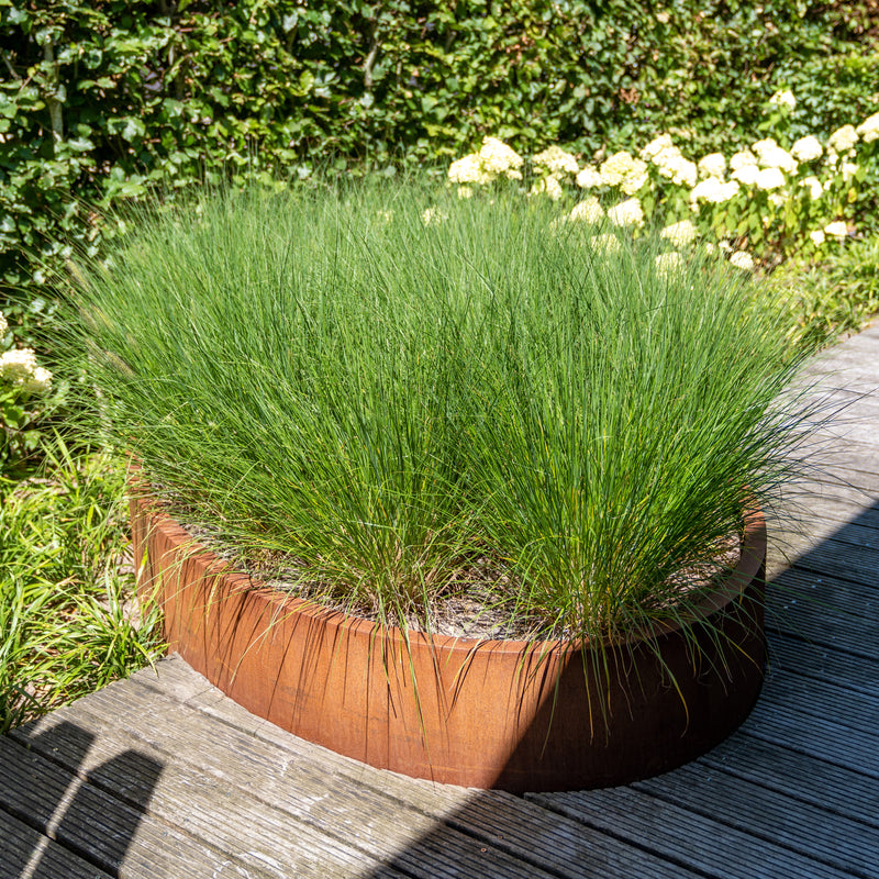 Cortenstahl Pflanzkübel ELLIPSE ohne Boden | 280 x 160 x 40 cm