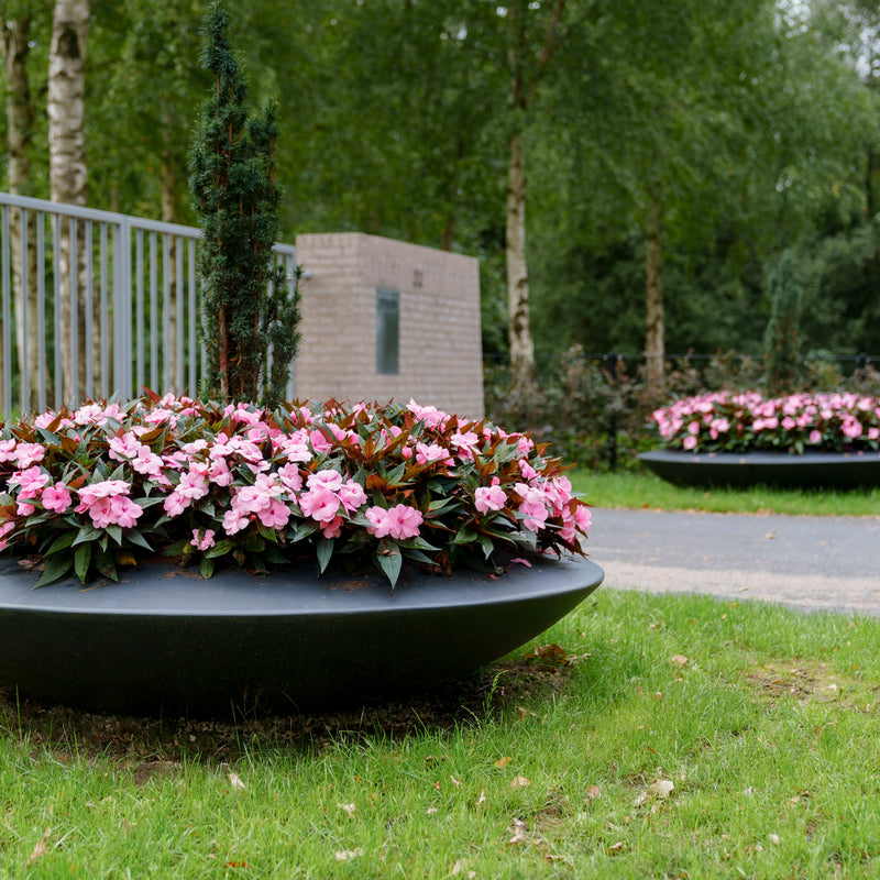 Polyester Pflanzschale MALVA | 200 x 40 cm