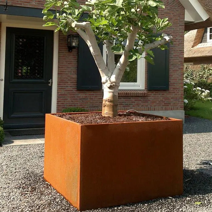 Cortenstaal plantenbak Carrez CA