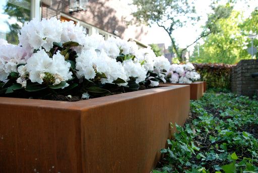    ADEZZ_cortensteel_planters
