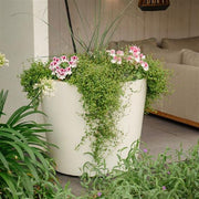 Adezz aluminium plantenbak CONIC wit