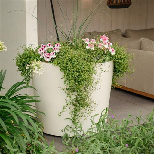 Adezz aluminium plantenbak CONIC wit