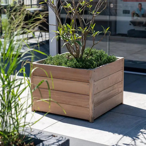 Adezz Hardhouten plantenbak 