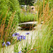 Adezz waterschaal corten 