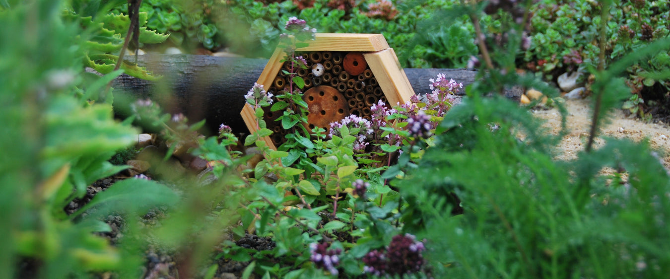 Biodivers met vogelhuisje 