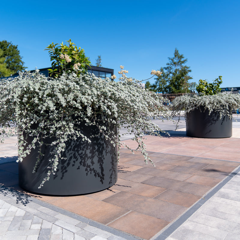 Aluminium-Pflanzgefäß CIRCUM – Mit Boden | ø 150 x 40 cm