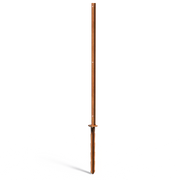 CPP1