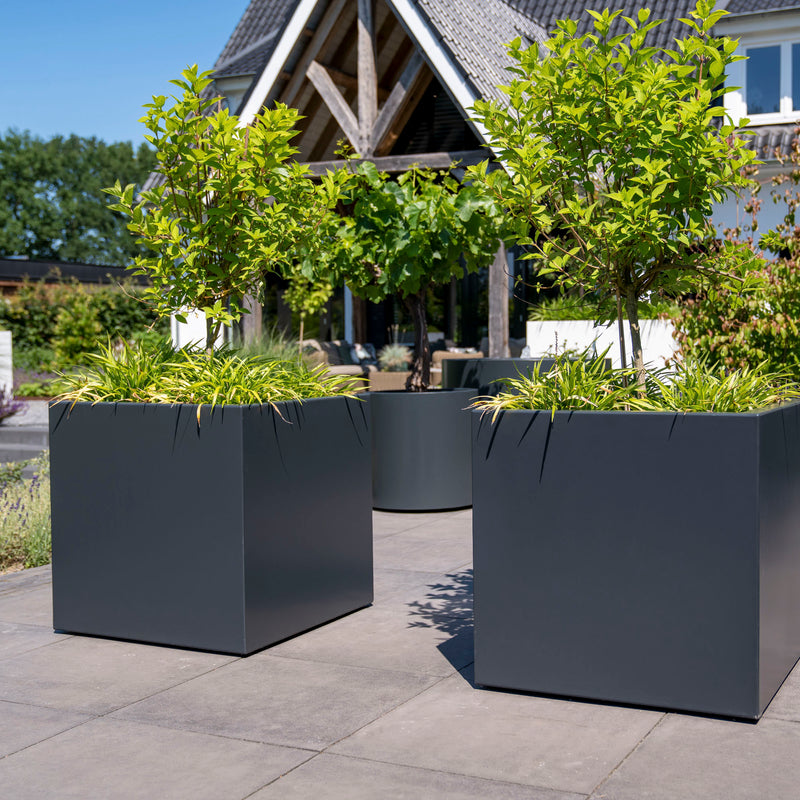 Aluminium Pflanzkübel CARREZ mit Rollen | 100 x 100 x 80 cm