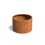 CTW4_1