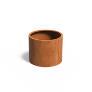 CTW5_1
