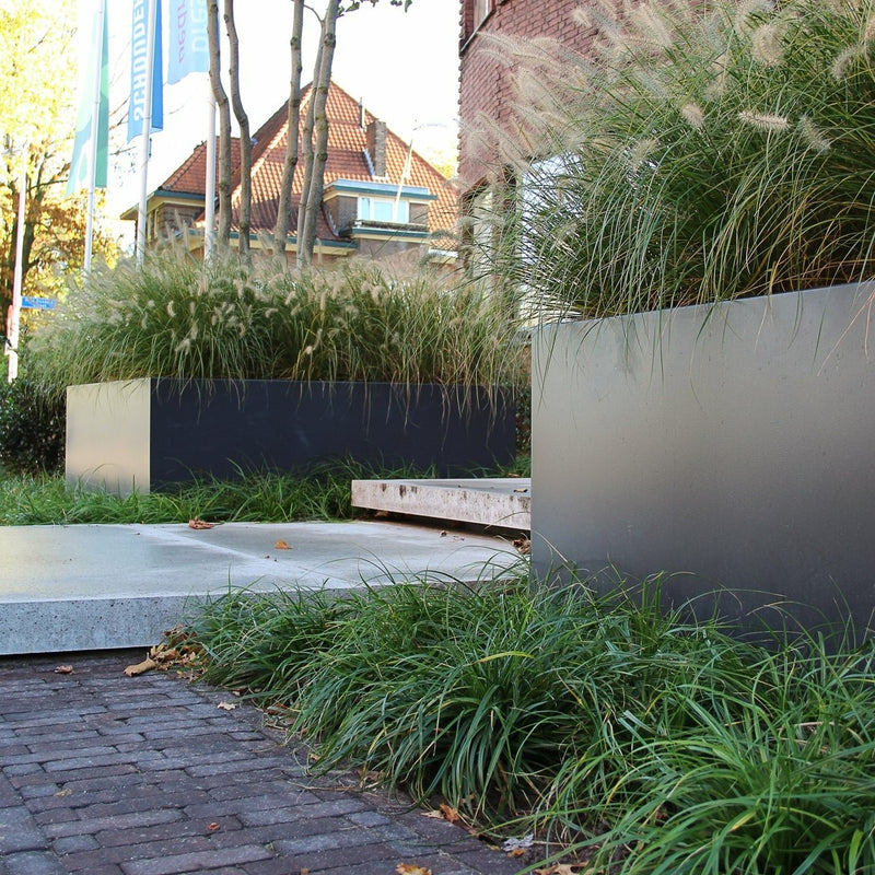 Aluminium Pflanzkübel CARREZ ohne Boden | 300 x 100 x 40 cm