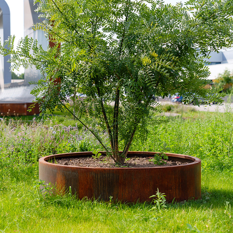 CIRCUM zonder bodem ø  120 × 80 cm - Cortenstaal plantenbak