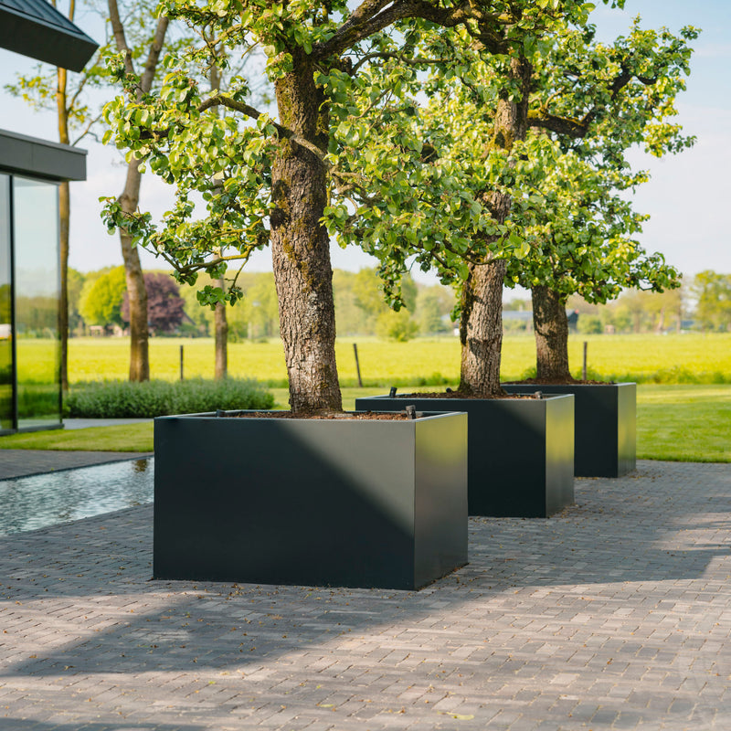 Aluminium Pflanzkübel CARREZ | 120 x 50 x 60 cm