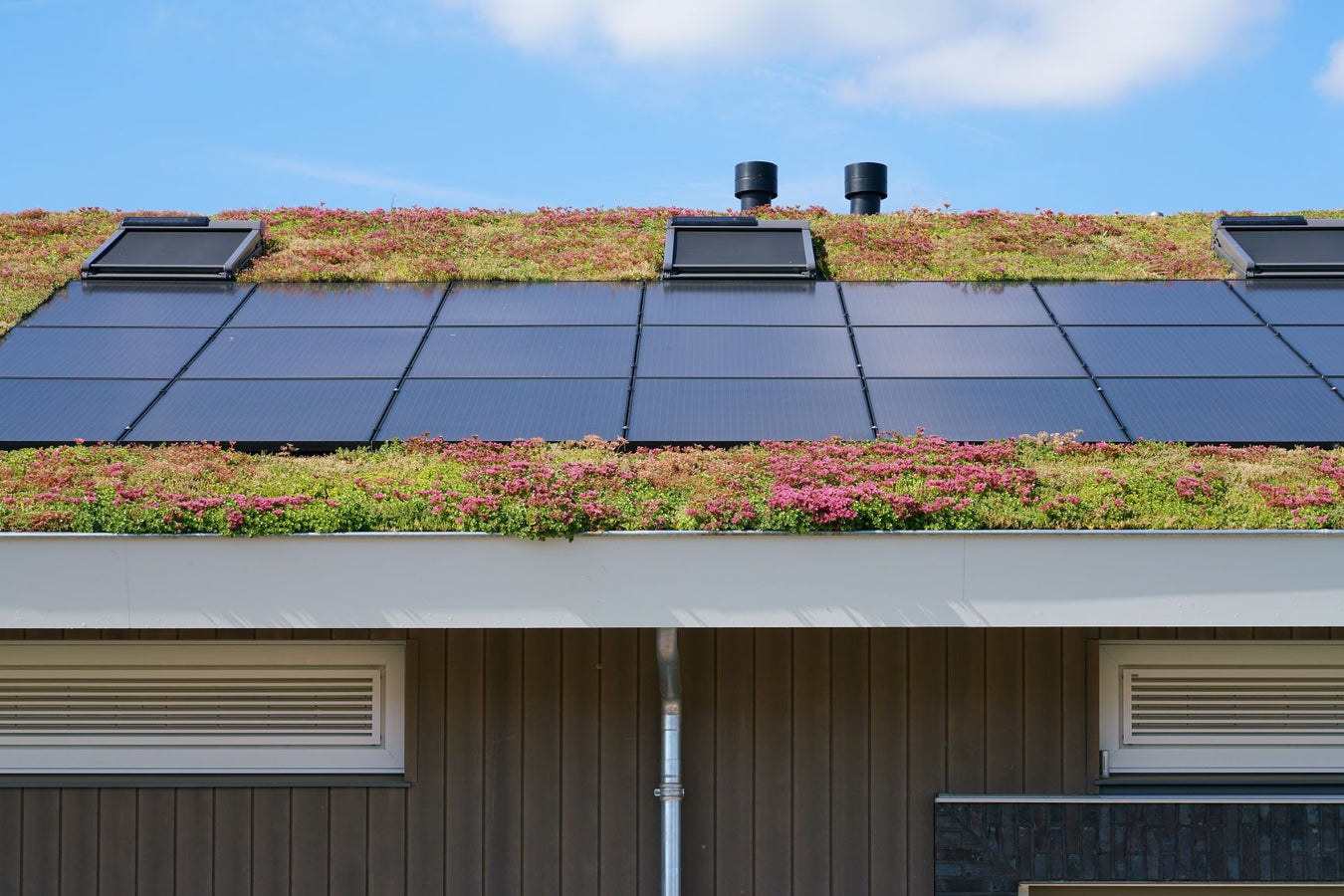 Sedumdak met zonnepanelen 