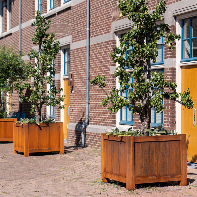 YORK 100 x 100 x 80 - Cortenstaal  planter - uitneembare zijwand