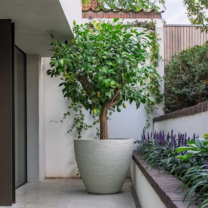 Sfeer Stonecore LIVE