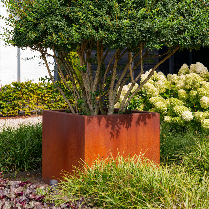 CARREZ 300 x 100 x 40 cm - Cortenstaal plantenbak met bodem