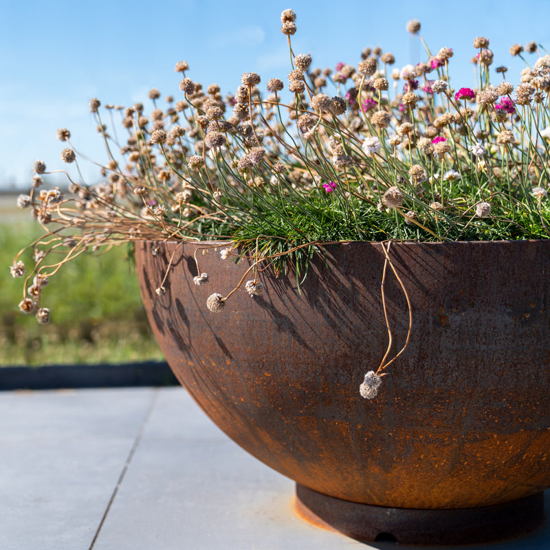 Cortenstahl Pflanzschale BOCCA | ø 120 x 61 cm