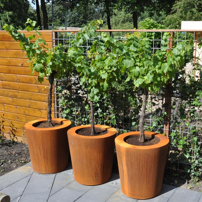 Conic planter cortenstaal 3