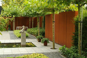 Adezz corten tuinwanden met dakplatanen 