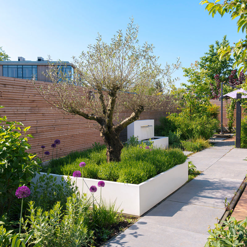 Aluminium Pflanzkübel CARREZ | 120 x 50 x 60 cm