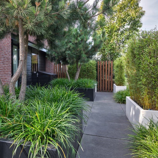 plantenbak Carrez zonder bodem 3