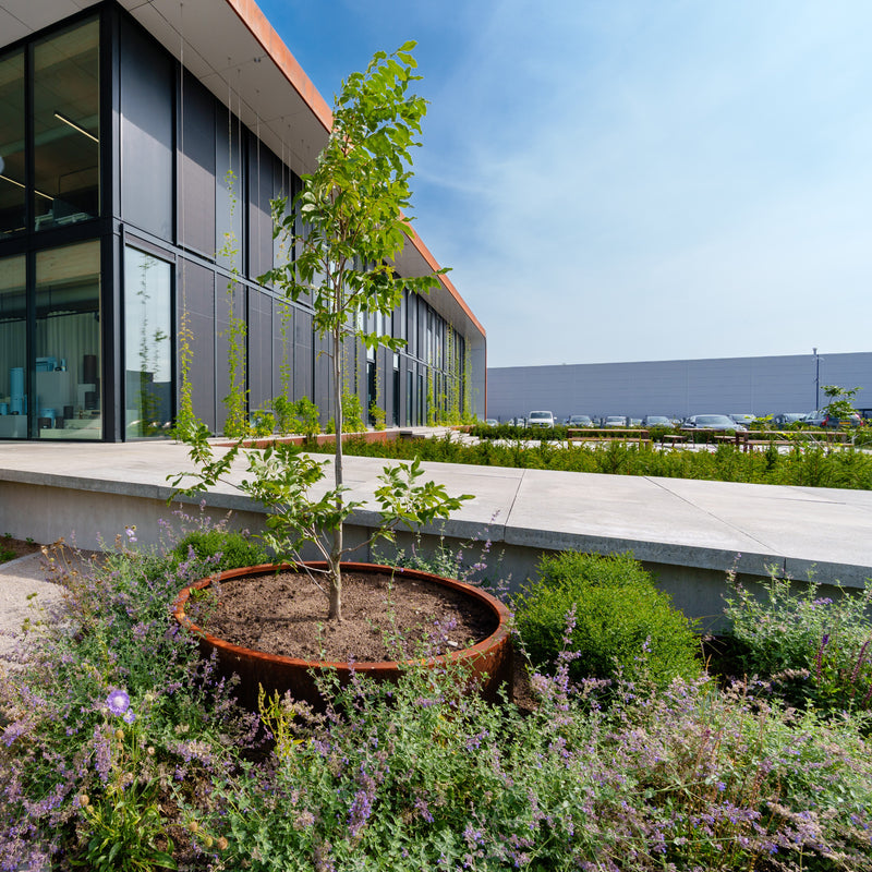 Cortenstahl Pflanzkübel CIRCUM ohne Boden | ø 80 x 60 cm