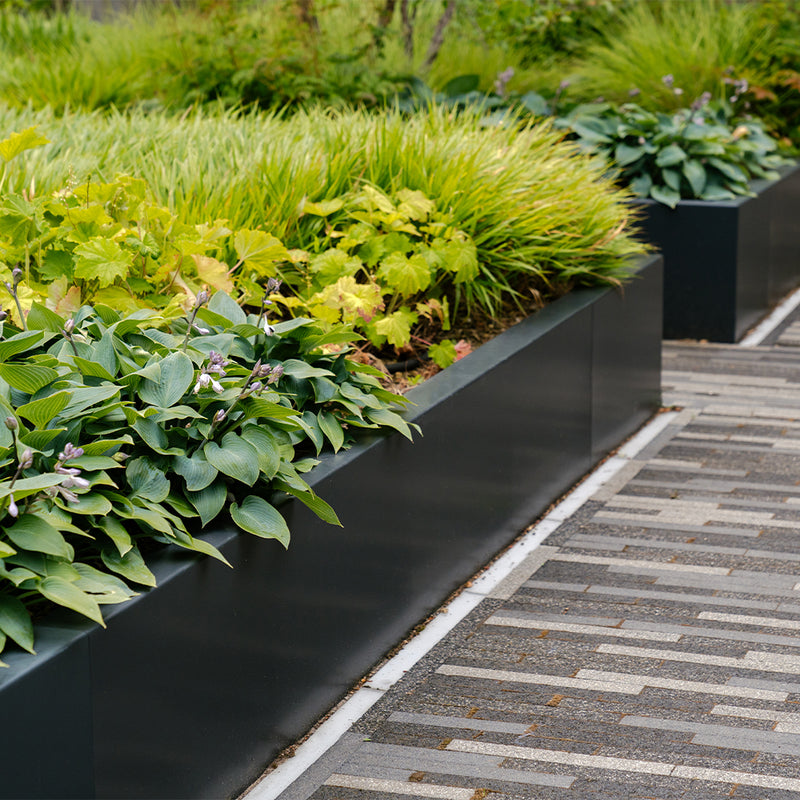 Stahl-Stützwand pulverbeschichtet – Gerade | 100 × 30 × 60 cm
