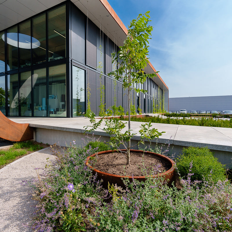 CIRCUM zonder bodem ø  120 × 40 cm - Cortenstaal plantenbak