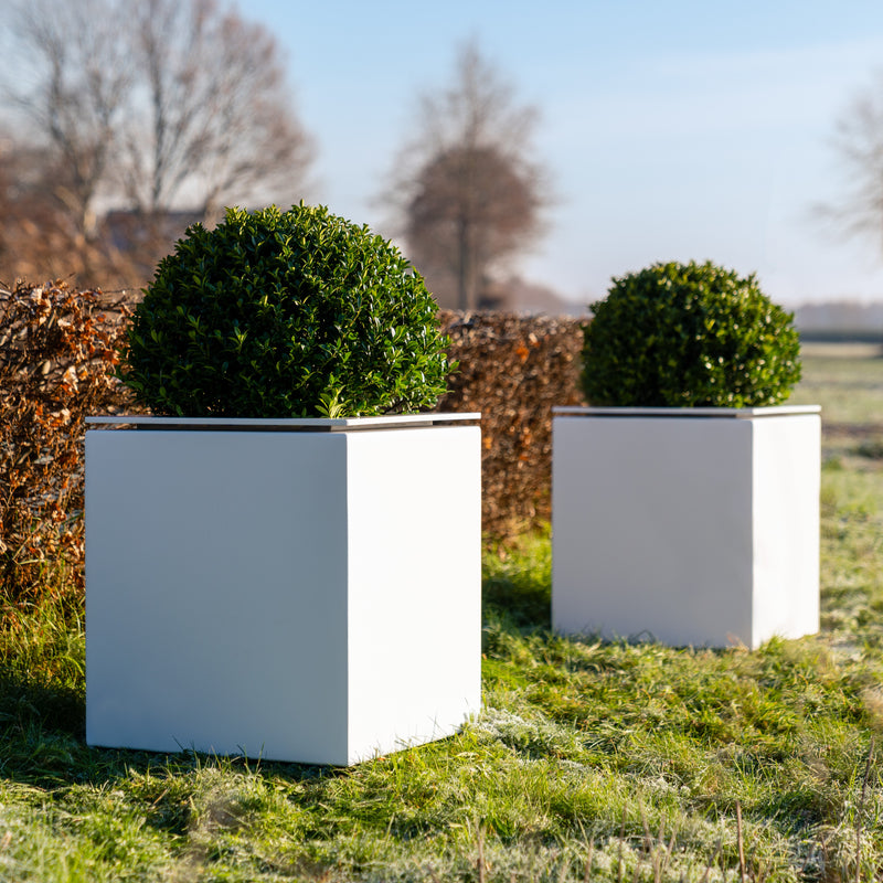 Aluminium-Pflanzgefäß DOMUS - Mit Boden | 70 x 70 x 60 cm