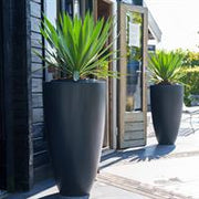 Canna plantenbak polyester mat