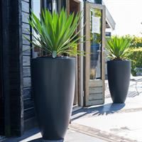 Canna plantenbak polyester mat